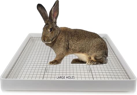 metal grate for litter box|rabbit litter box 22x18.